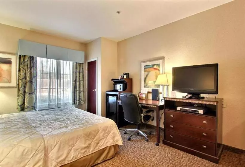 キングサイズベッドのスタンダードルーム, Magnolia Inn And Suites Pooler