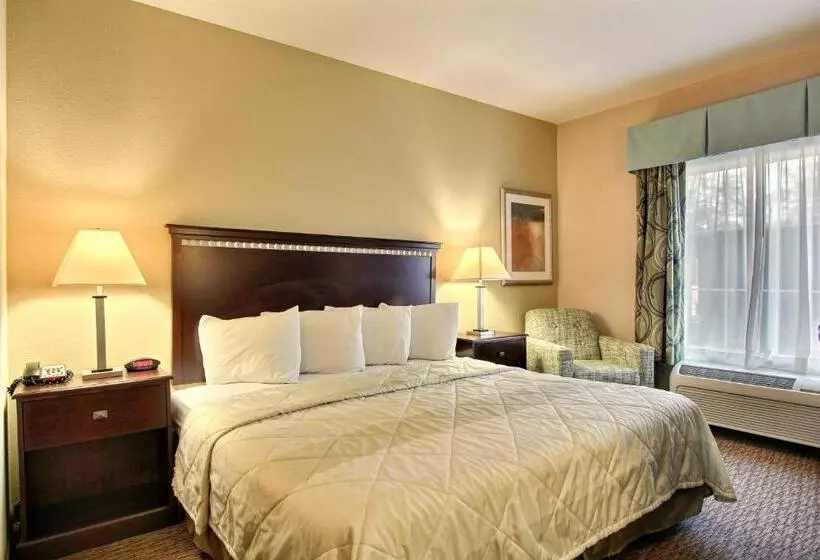 キングサイズベッドのスタンダードルーム, Magnolia Inn And Suites Pooler