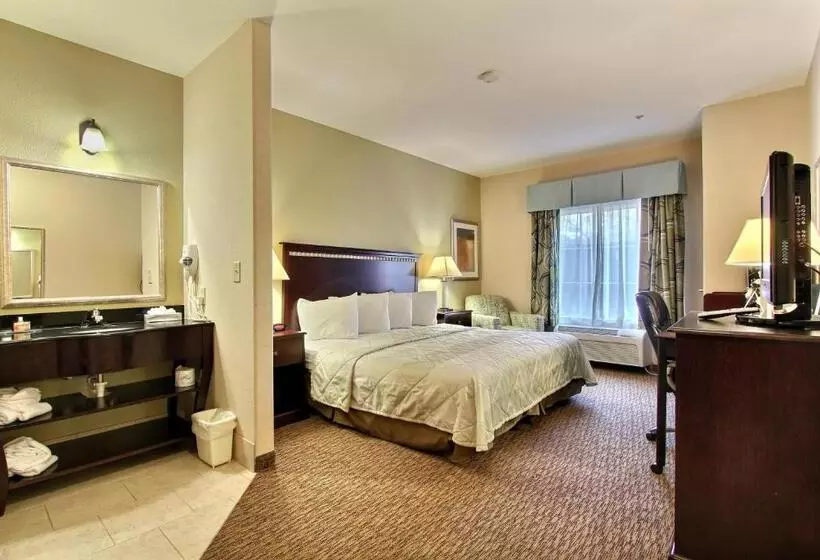キングサイズベッドのスタンダードルーム, Magnolia Inn And Suites Pooler