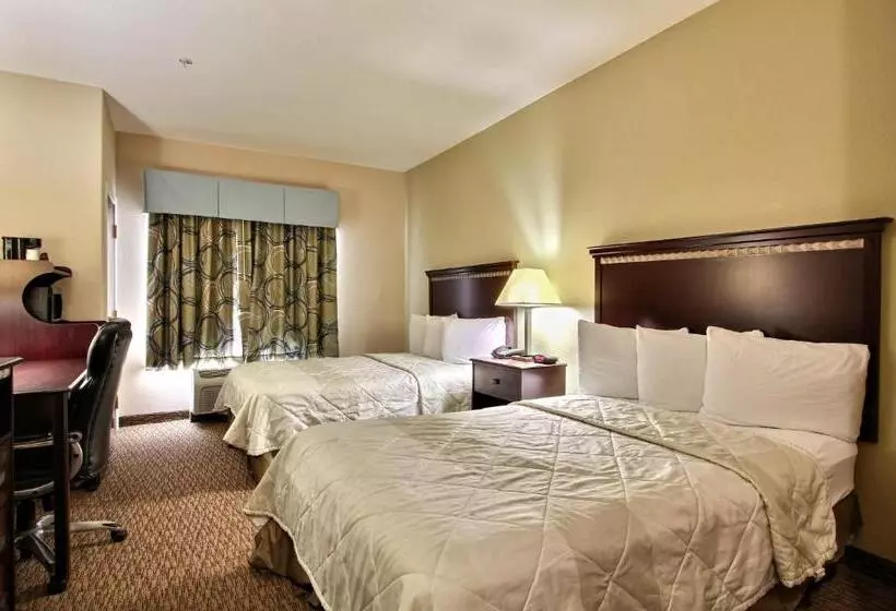 ２ダブルベッドのスタンダードルーム, Magnolia Inn And Suites Pooler