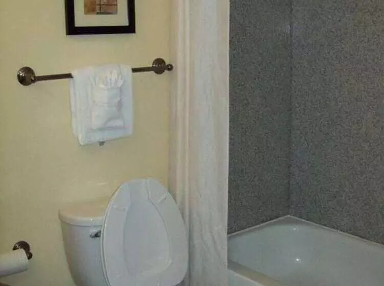 ２ダブルベッドのスタンダードルーム, Magnolia Inn And Suites Pooler
