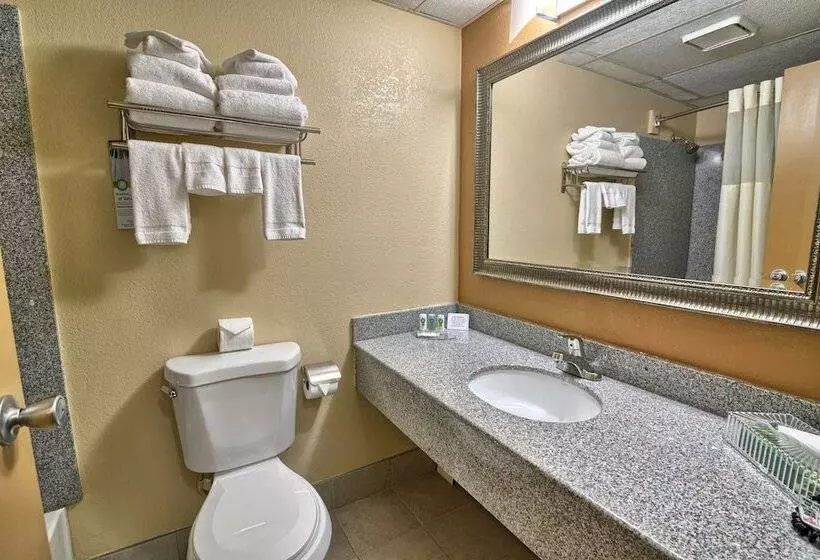 ２ダブルベッドのスタンダードルーム, Quality Inn North Conway