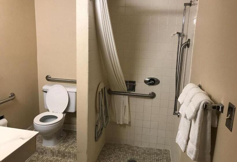 غرفة قياسية لذوى الاحتياجات الخاصة, Ramada By Wyndham Albert Lea