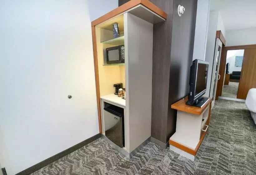 キングサイドベッドのスタンダードワンルーム, Springhill Suites By Marriott Grand Forks
