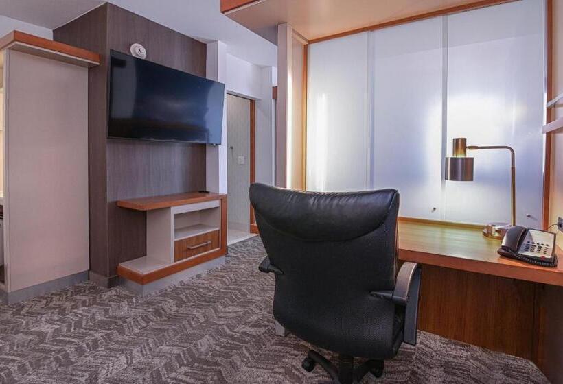 带大床的标准工作室, Springhill Suites By Marriott Grand Forks