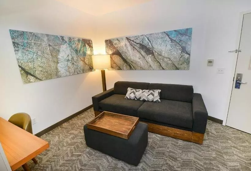キングサイドベッドのスタンダードワンルーム, Springhill Suites By Marriott Grand Forks