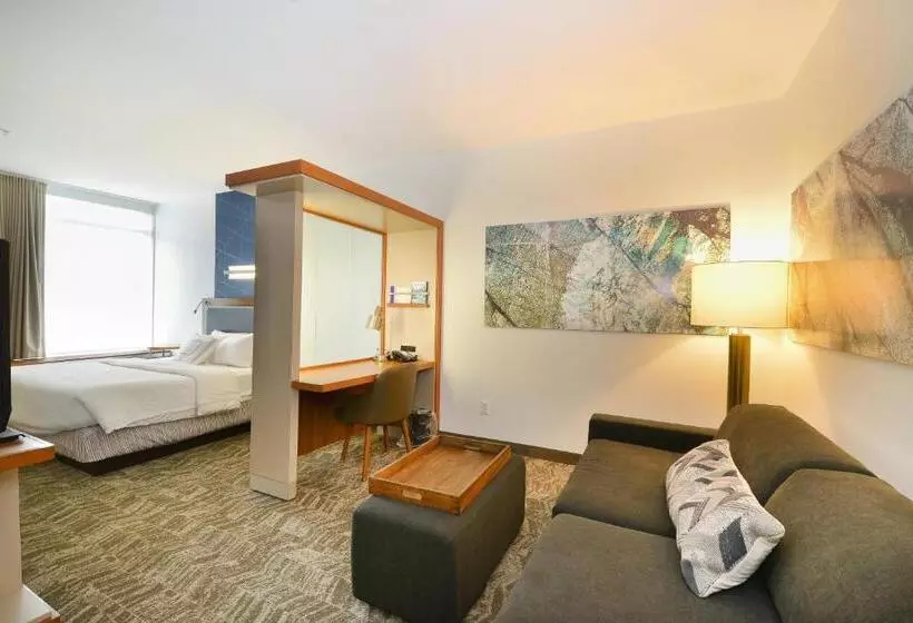 キングサイドベッドのスタンダードワンルーム, Springhill Suites By Marriott Grand Forks