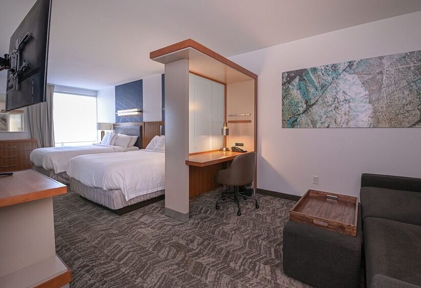 标准工作室, Springhill Suites By Marriott Grand Forks