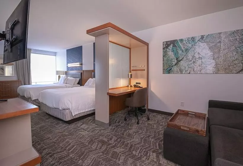 スタンダードスタジオ, Springhill Suites By Marriott Grand Forks
