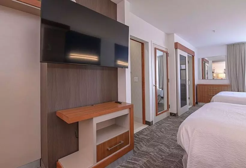スタンダードスタジオ, Springhill Suites By Marriott Grand Forks