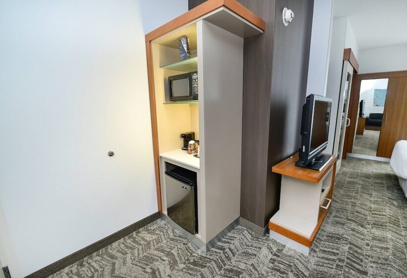 标准工作室, Springhill Suites By Marriott Grand Forks