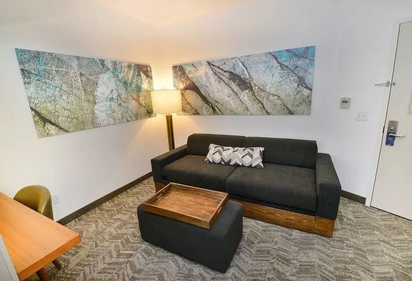 スタンダードスタジオ, Springhill Suites By Marriott Grand Forks