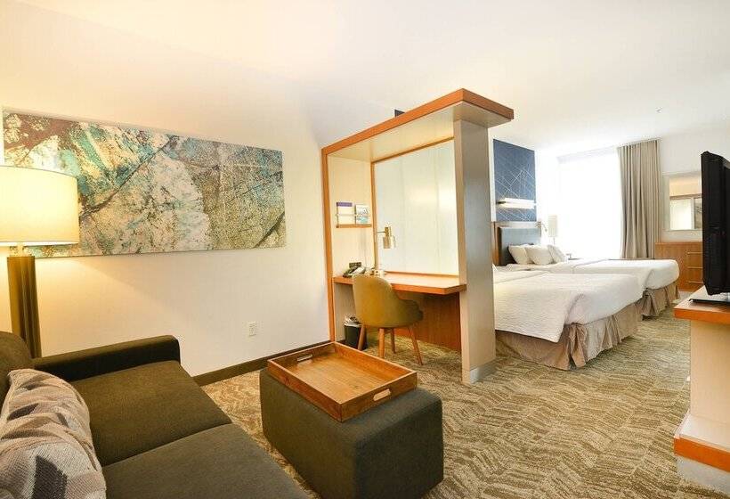 标准工作室, Springhill Suites By Marriott Grand Forks