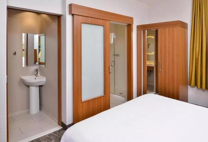 キングサイドベッドのスタンダードワンルーム, Springhill Suites Irvine John Wayne Airport/orange County