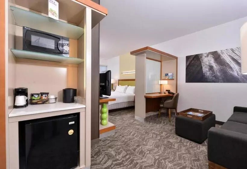 キングサイドベッドのスタンダードワンルーム, Springhill Suites Irvine John Wayne Airport/orange County