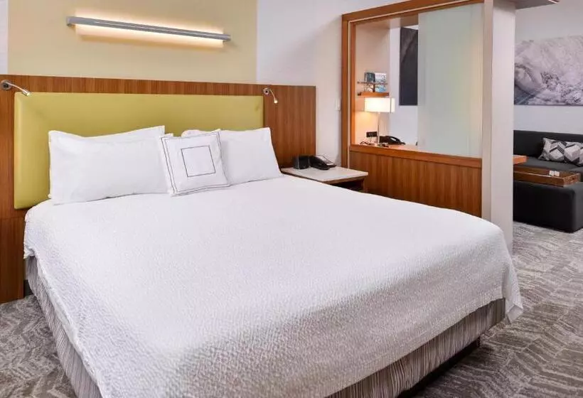 キングサイドベッドのスタンダードワンルーム, Springhill Suites Irvine John Wayne Airport/orange County