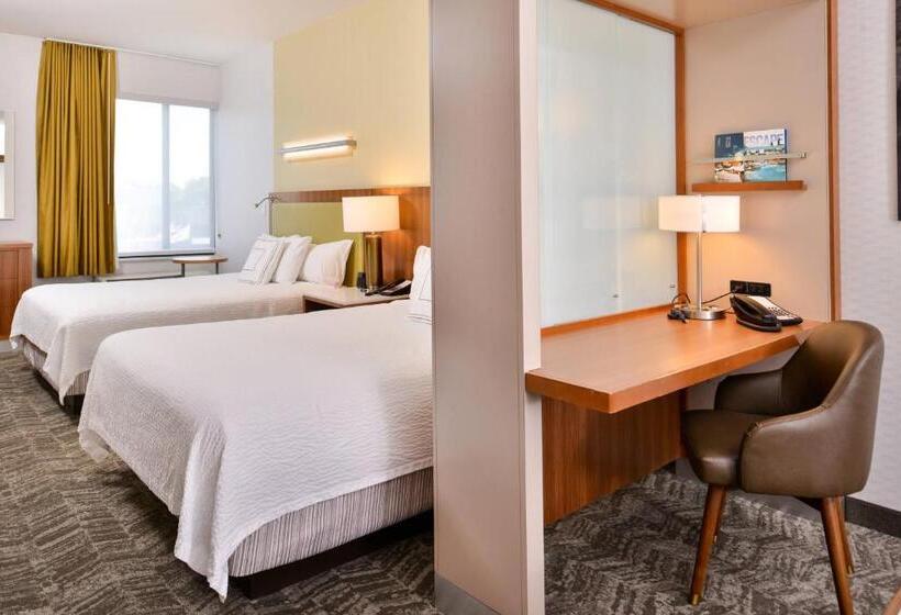 إستوديو قياسى, Springhill Suites Irvine John Wayne Airport/orange County