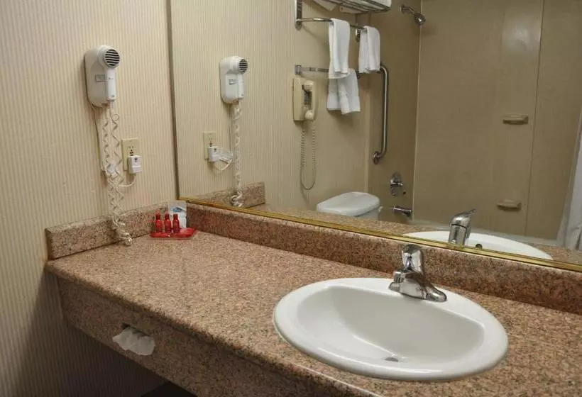スタンダードルーム, Surestay Hotel By Best Western Castro Valley