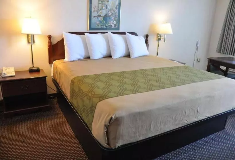 キングサイズベッドのスタンダードルーム, Surestay Hotel By Best Western Castro Valley