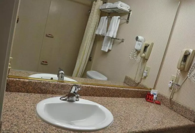 身障者適用キングサイズベッドルーム, Surestay Hotel By Best Western Castro Valley