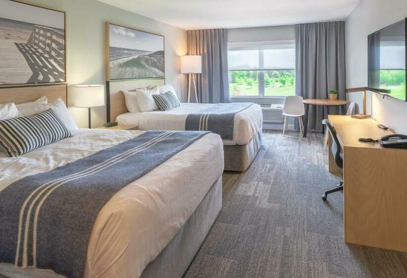 高级大房间, Mill River Resort