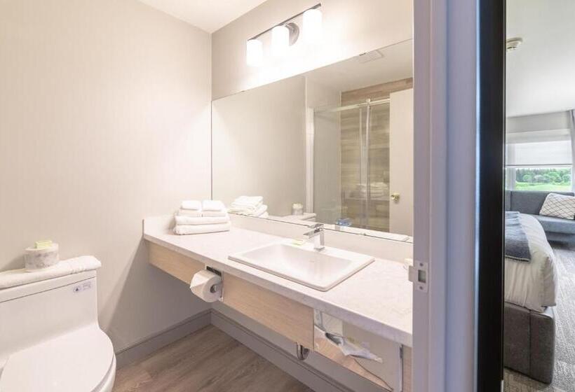 带大床的标准间, Mill River Resort