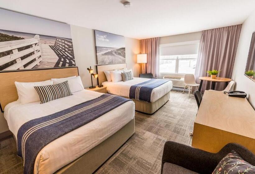 标准间, Mill River Resort