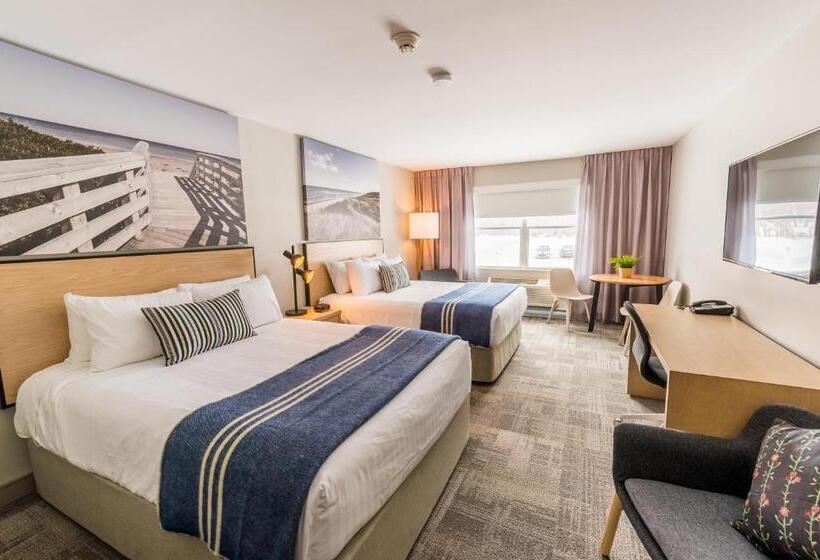 标准间, Mill River Resort