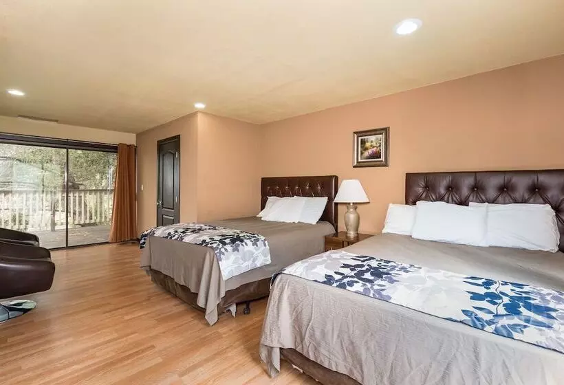 １ベッドルームハウス, Mountain Trail Lodge And Vacation Rentals