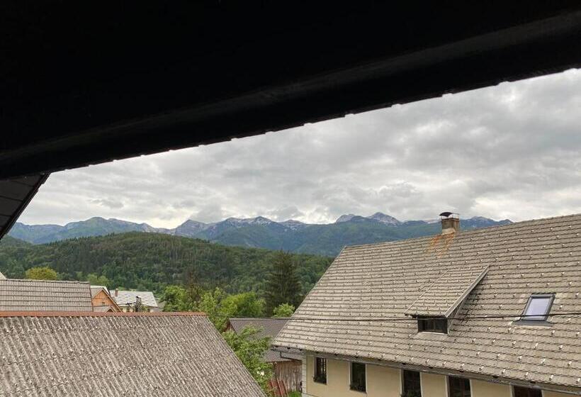 استودیو استاندارد با چشم‌انداز, Hiša Planšar Bohinj Accommodations