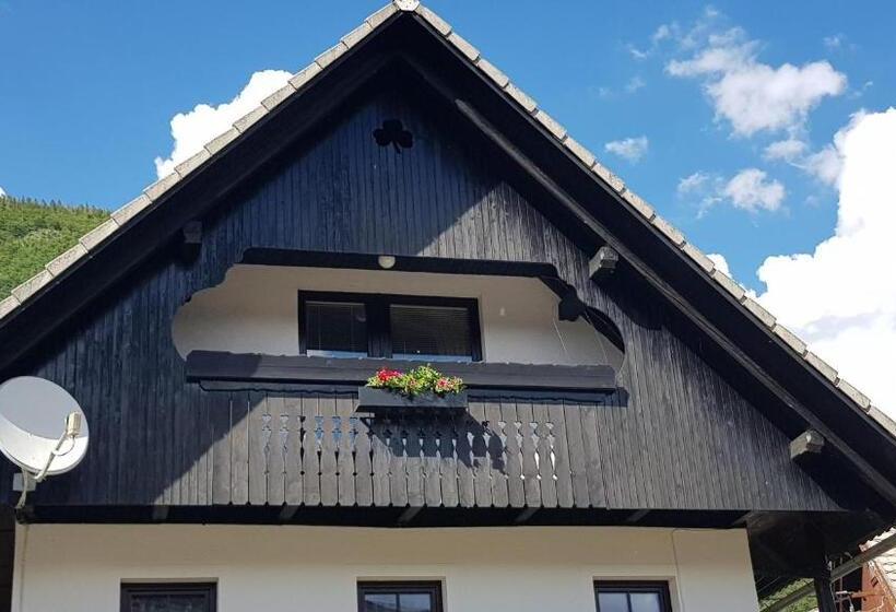 استودیو استاندارد با چشم‌انداز, Hiša Planšar Bohinj Accommodations
