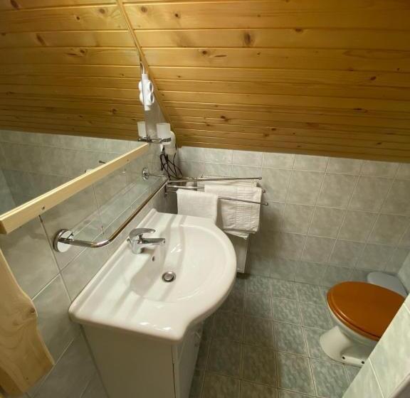 استودیو استاندارد با چشم‌انداز, Hiša Planšar Bohinj Accommodations
