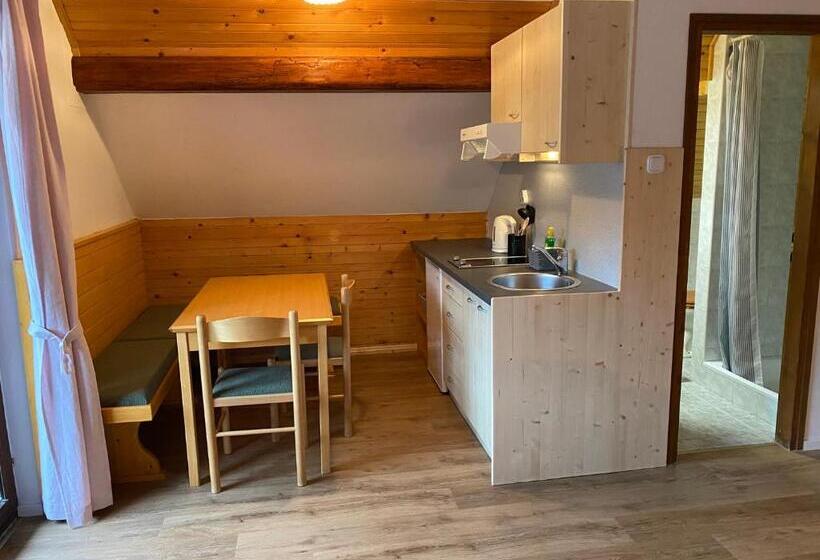 استودیو استاندارد با چشم‌انداز, Hiša Planšar Bohinj Accommodations