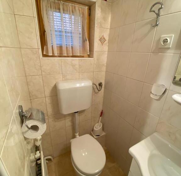 آپارتمان 1 خوابه با بالکن, Hiša Planšar Bohinj Accommodations