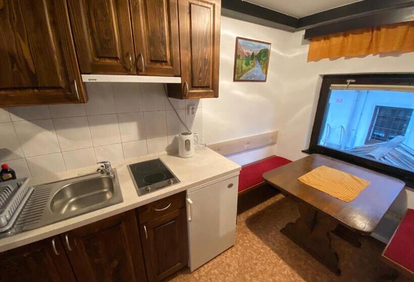 آپارتمان 1 خوابه با بالکن, Hiša Planšar Bohinj Accommodations