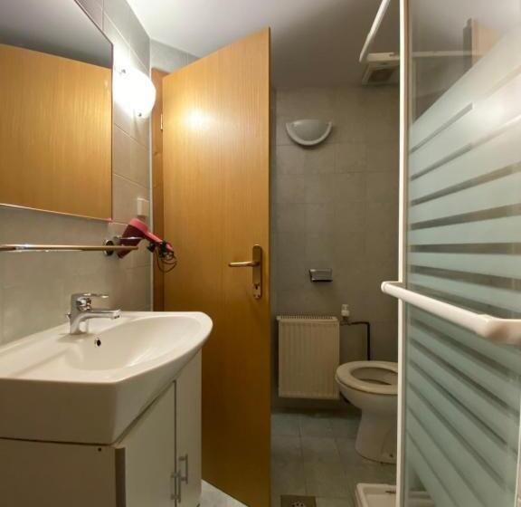 استودیو استاندارد با بالکن, Hiša Planšar Bohinj Accommodations