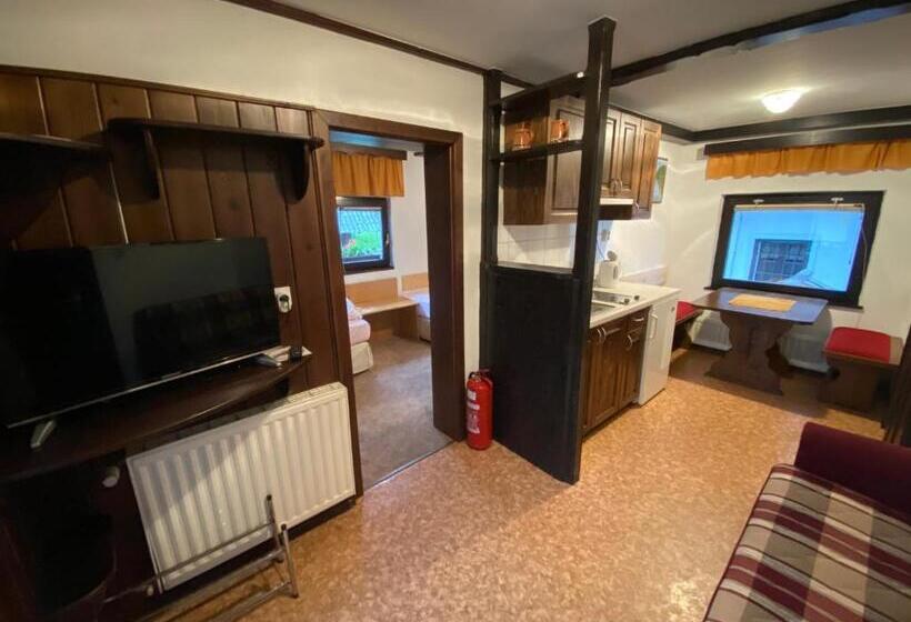 آپارتمان 1 خوابه با بالکن, Hiša Planšar Bohinj Accommodations