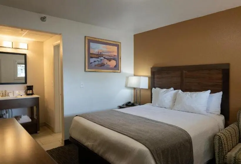 スタンダードルーム, Riviera Motor Lodge