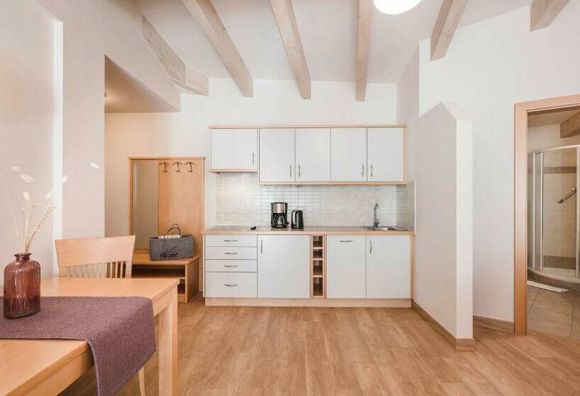 스탠다드 스튜디오, Residence Hirzer