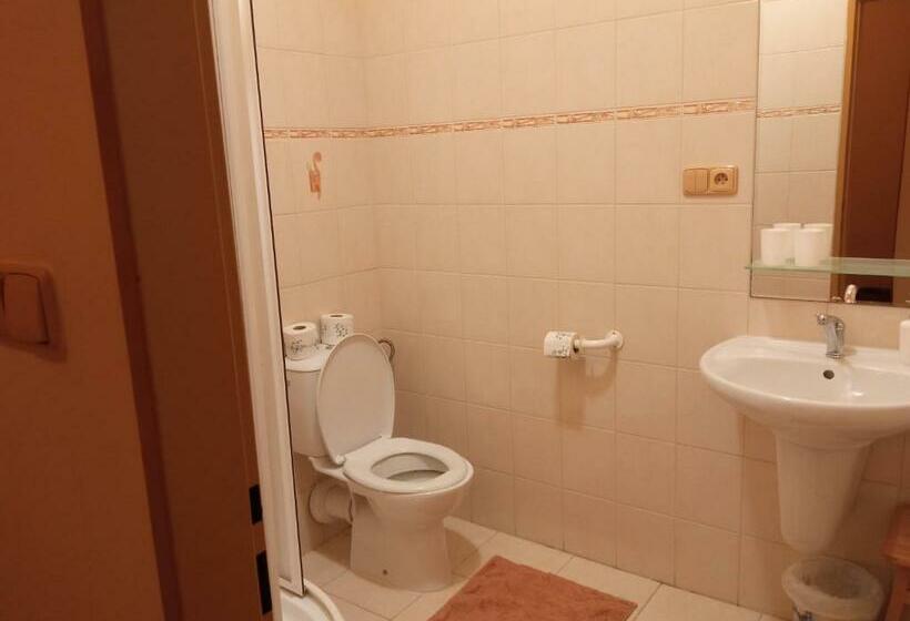 חדר סטנדרט, Penzion U Báby