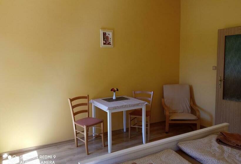 חדר סטנדרט, Penzion U Báby