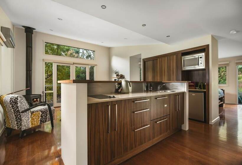 豪华工作室, The Buckland Studios