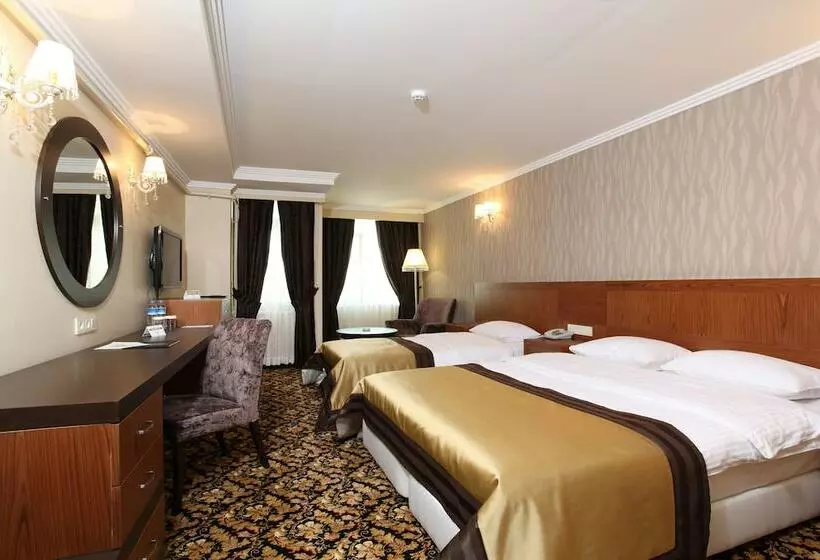 スタンダードシングルルーム, Arya Hotel Sakarya