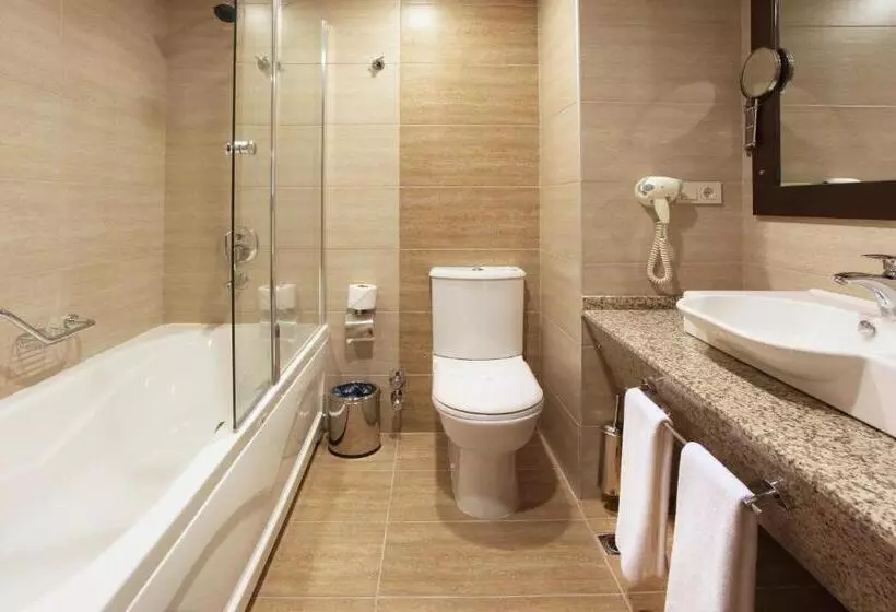 スタンダードルーム, Arya Hotel Sakarya