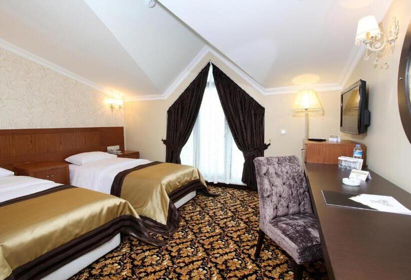 غرفة قياسية, Arya Hotel Sakarya