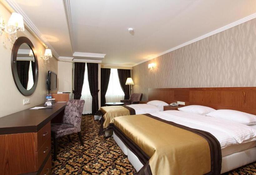 غرفة قياسية, Arya Hotel Sakarya