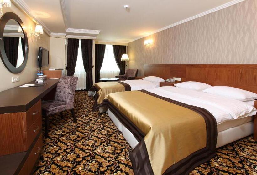 غرفة قياسية, Arya Hotel Sakarya