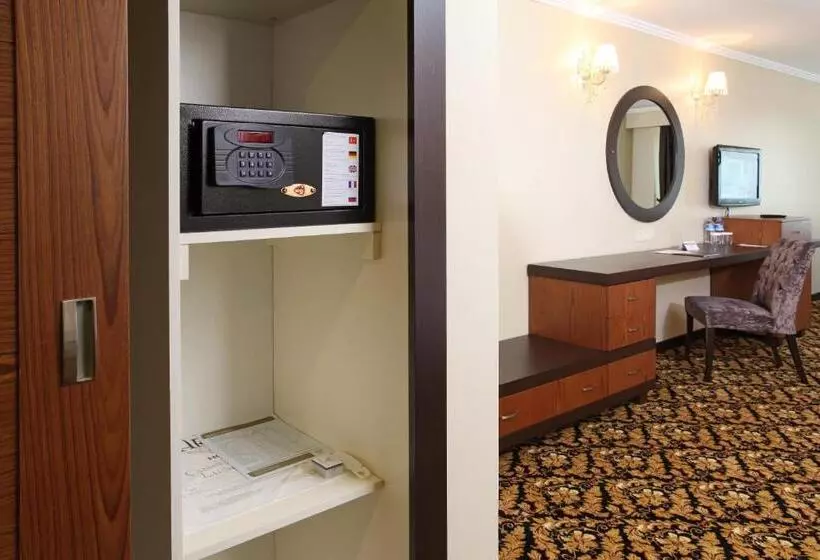デラックスルーム, Arya Hotel Sakarya
