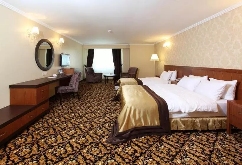 デラックスルーム, Arya Hotel Sakarya
