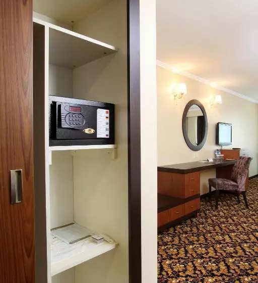 スイート, Arya Hotel Sakarya